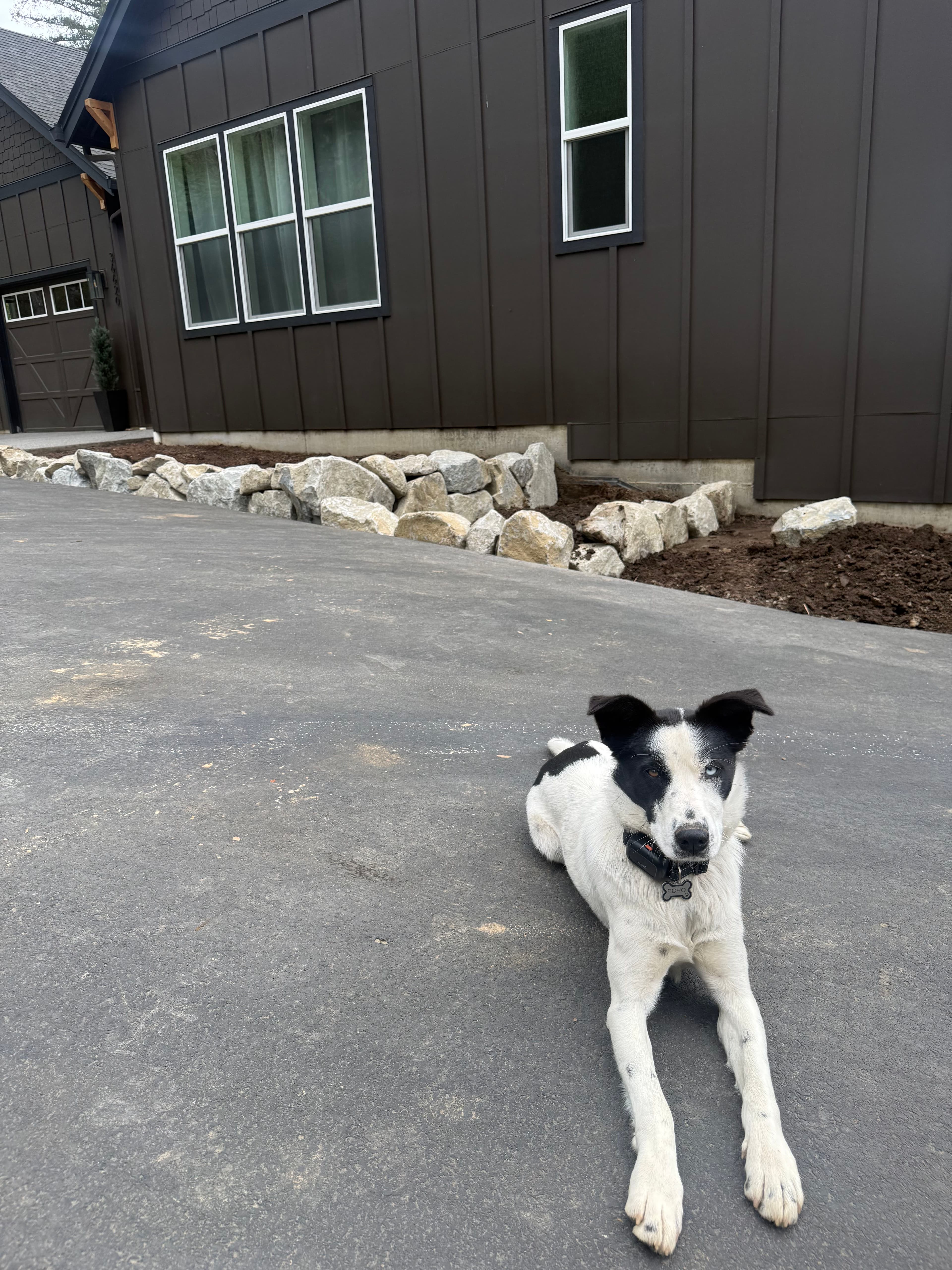 Project Echo Approved - Our Toughest Retaining Wall Critic Has Spoken image