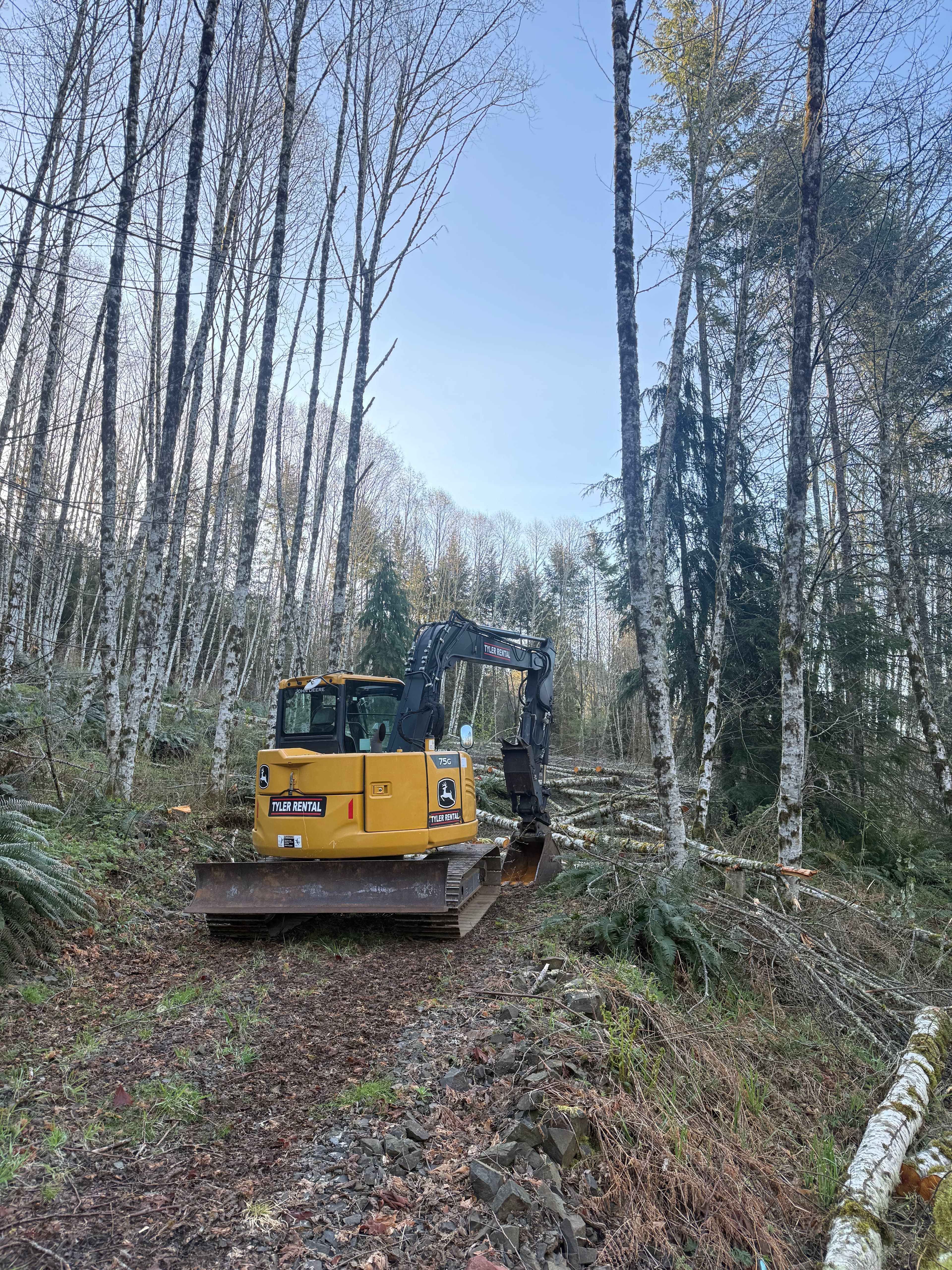Project Clearing a Forested Home Site From the Ground Up image