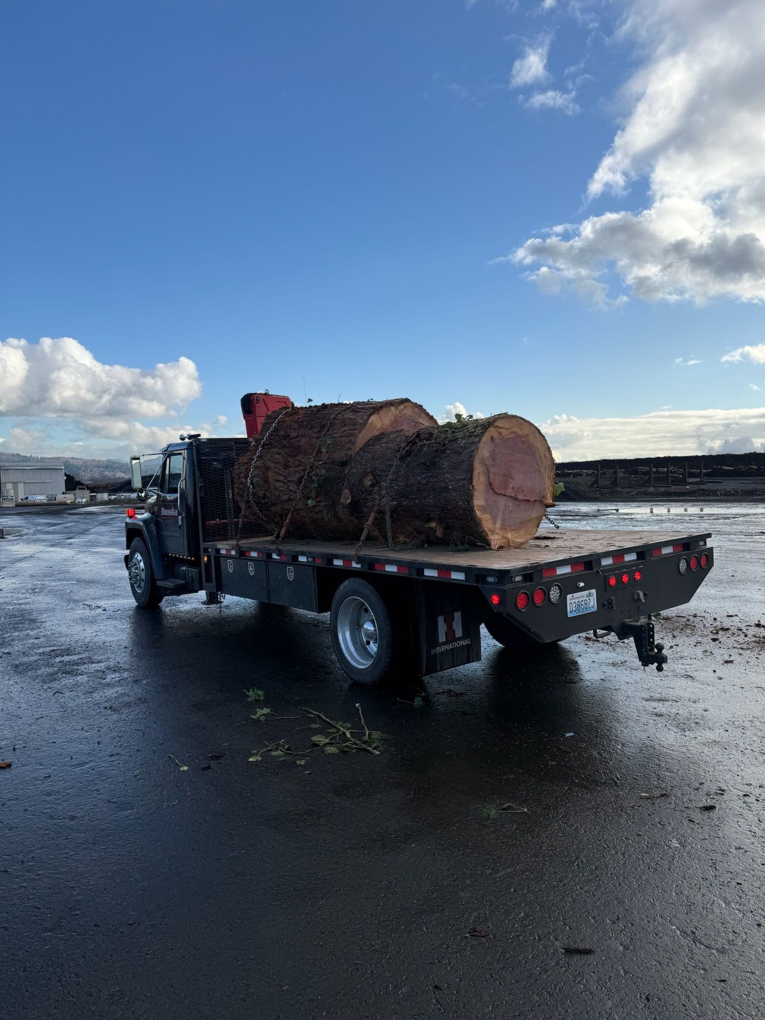 Project Precision Log Hauling with Bauska & Sons image